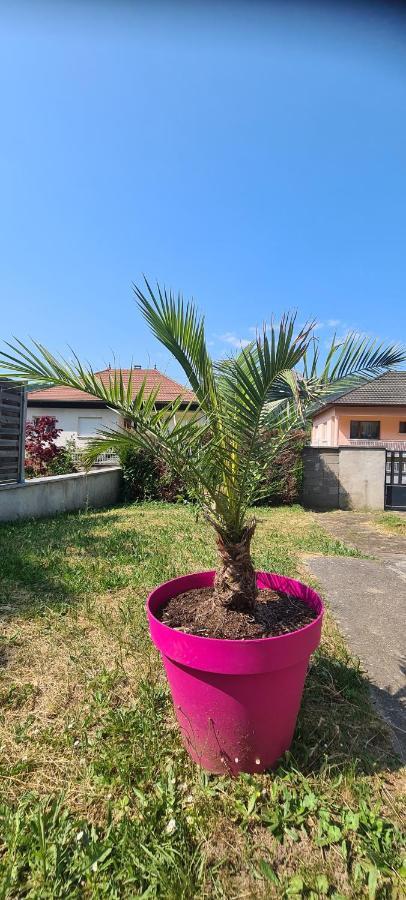 Maison Piscine Villa Saint-Amarin Esterno foto