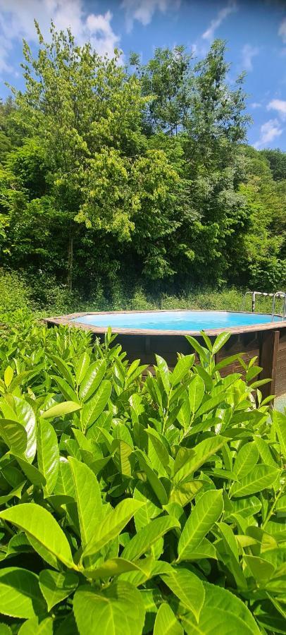 Maison Piscine Villa Saint-Amarin Esterno foto