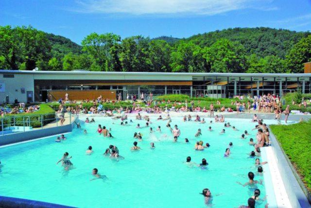 Maison Piscine Villa Saint-Amarin Esterno foto